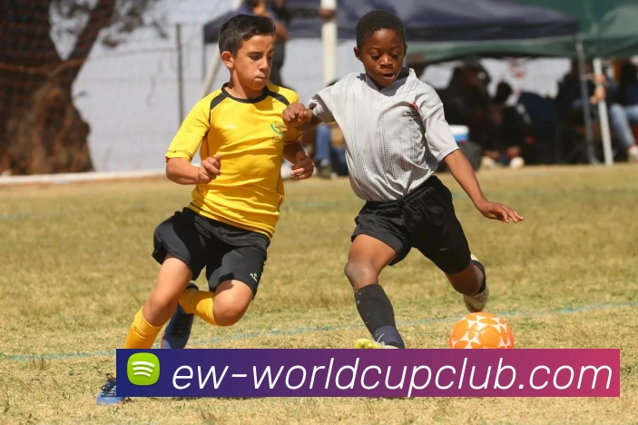 App Interface Preview